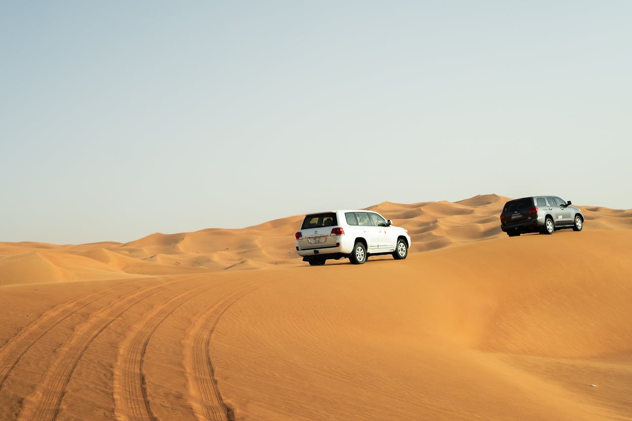 Home Morning Desert Safari
