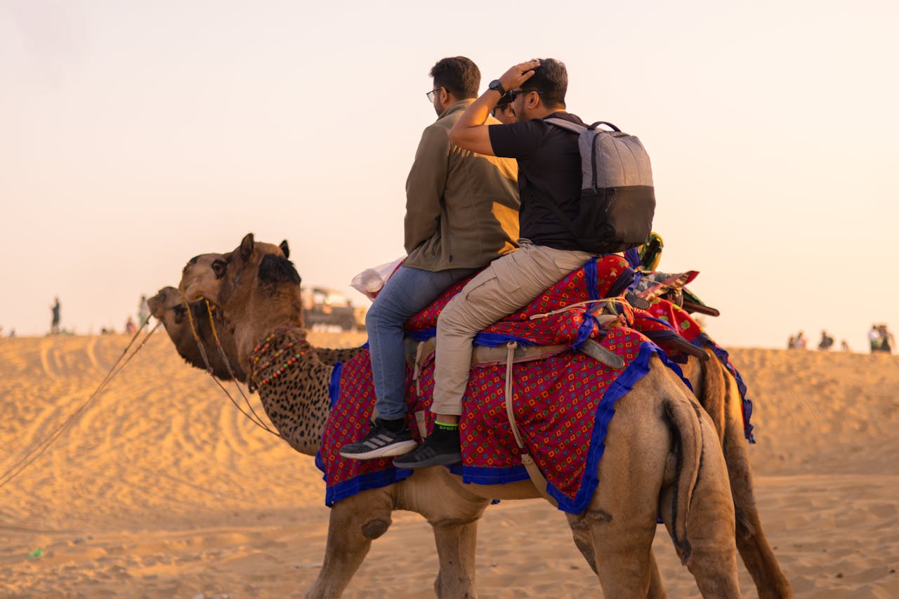 Home Camel Ride with Dune Bashing